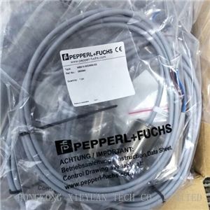 Pepperl Fuchs NBB2-6,5M30-E0 Inductive sensor